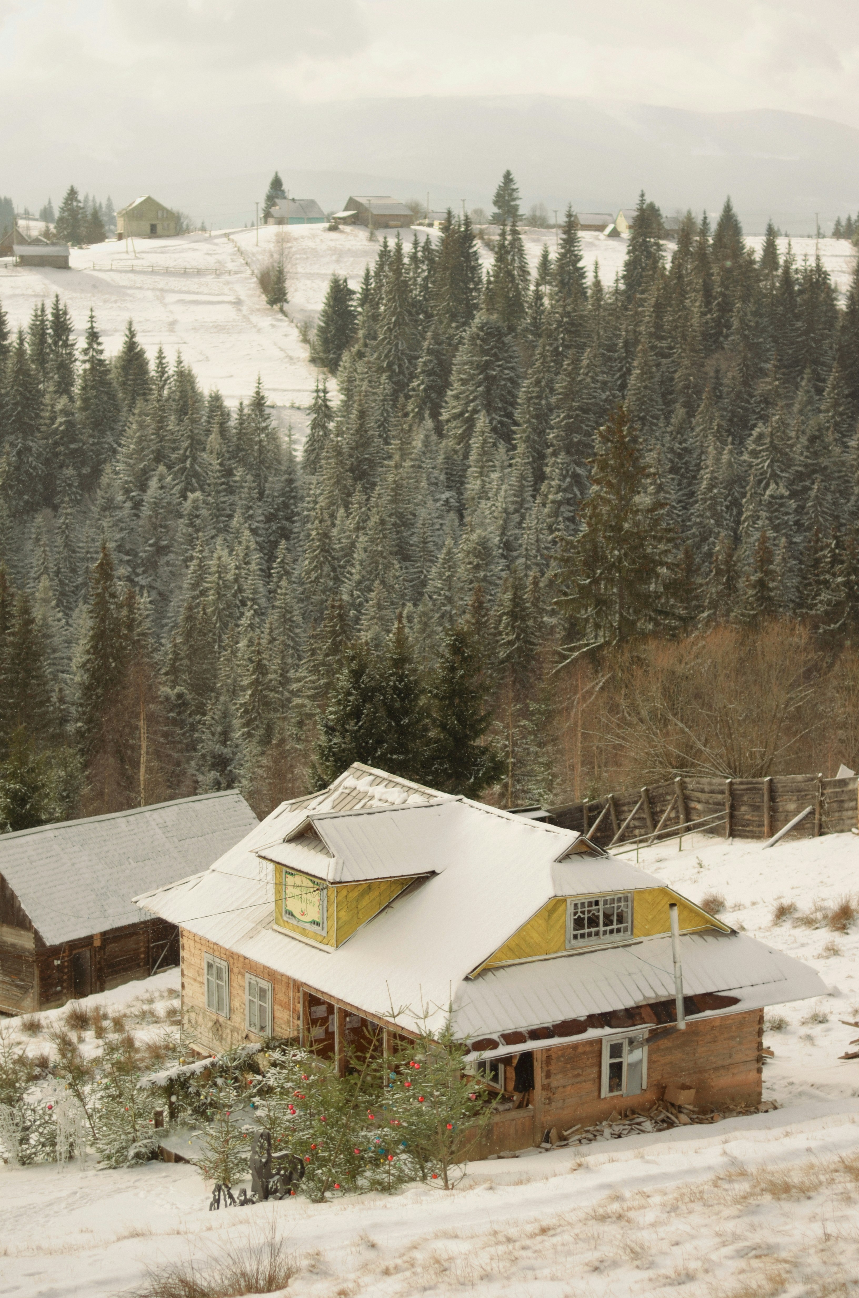 white and brown house near trees during daytime